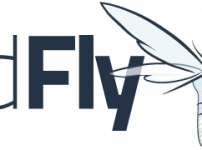 wildfly_logo.png